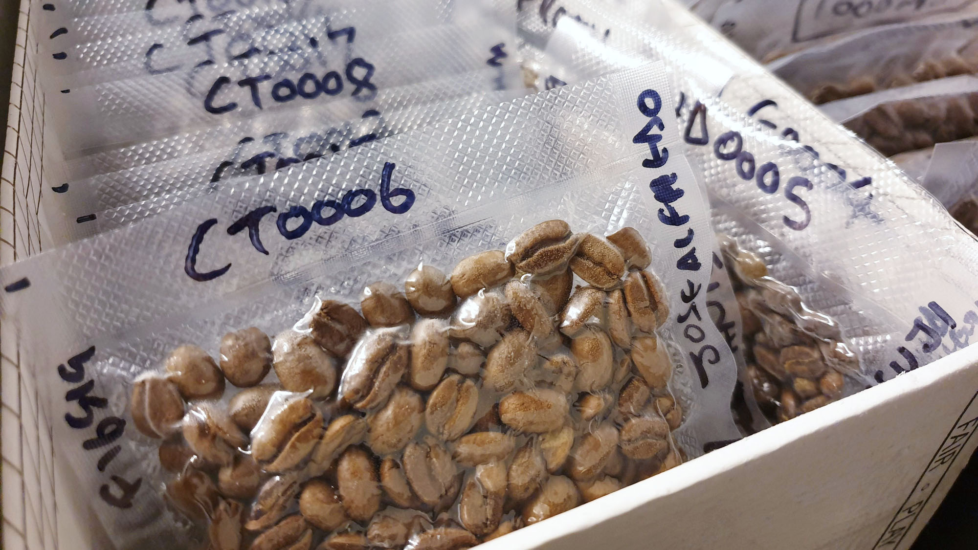 This Airtight Coffee Container Is the Key to the Freshest Possible Beans